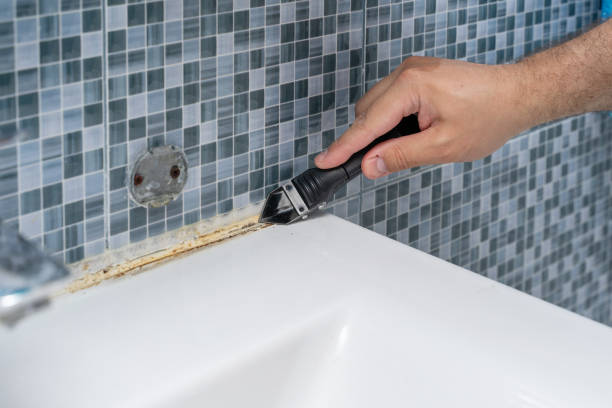 Best Mold Testing  in New River, AZ